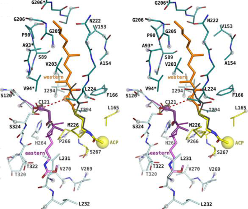 [1860-5397-12-56-23]