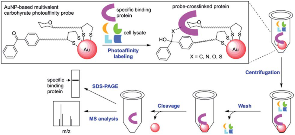 [1860-5397-13-100-5]
