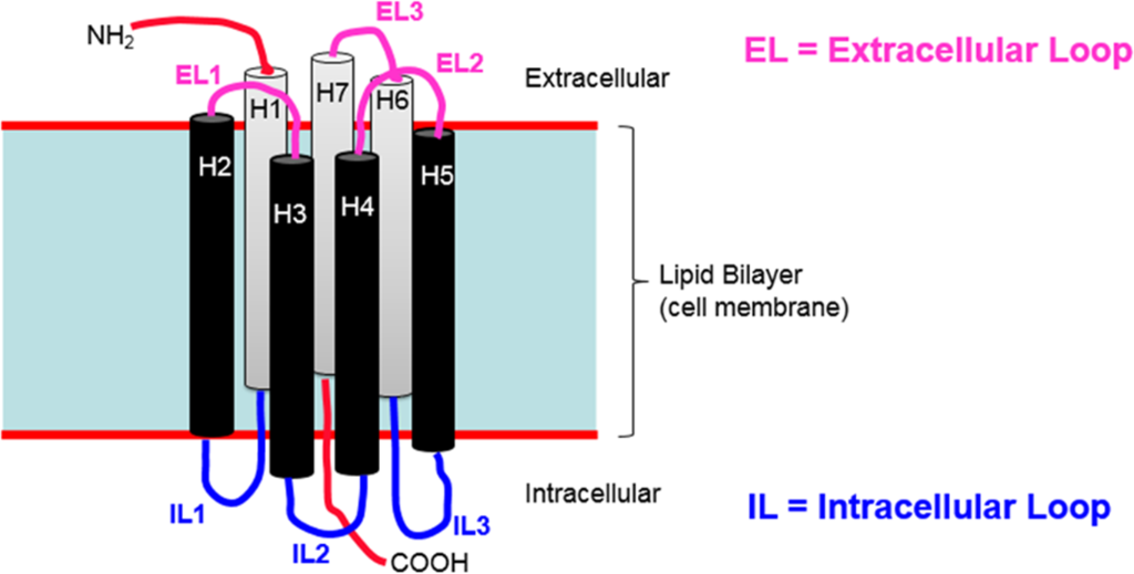 [1860-5397-13-106-2]