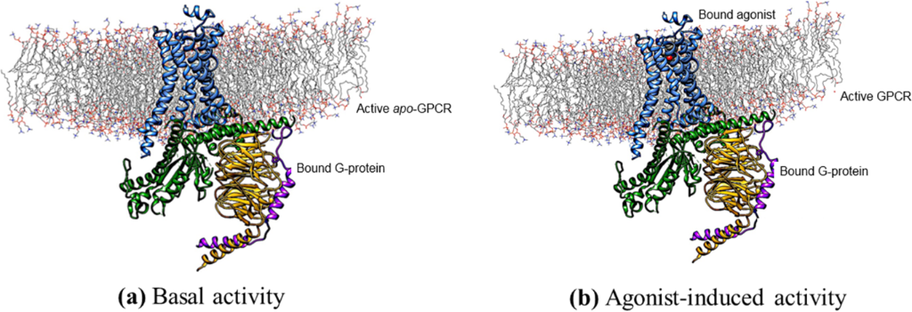 [1860-5397-13-106-3]