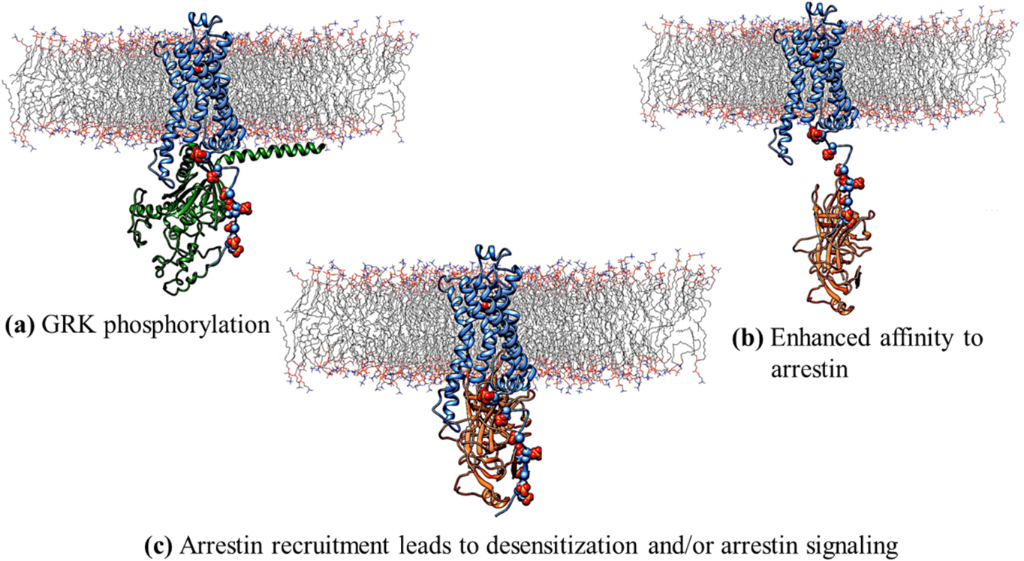 [1860-5397-13-106-4]