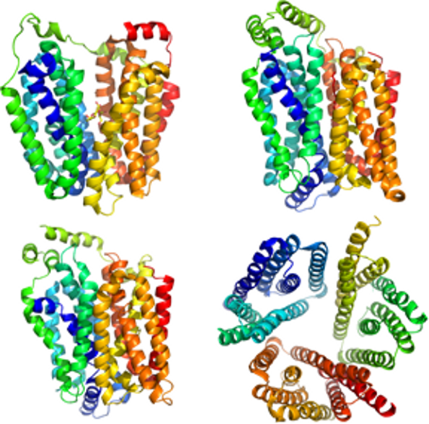 [1860-5397-13-114-13]