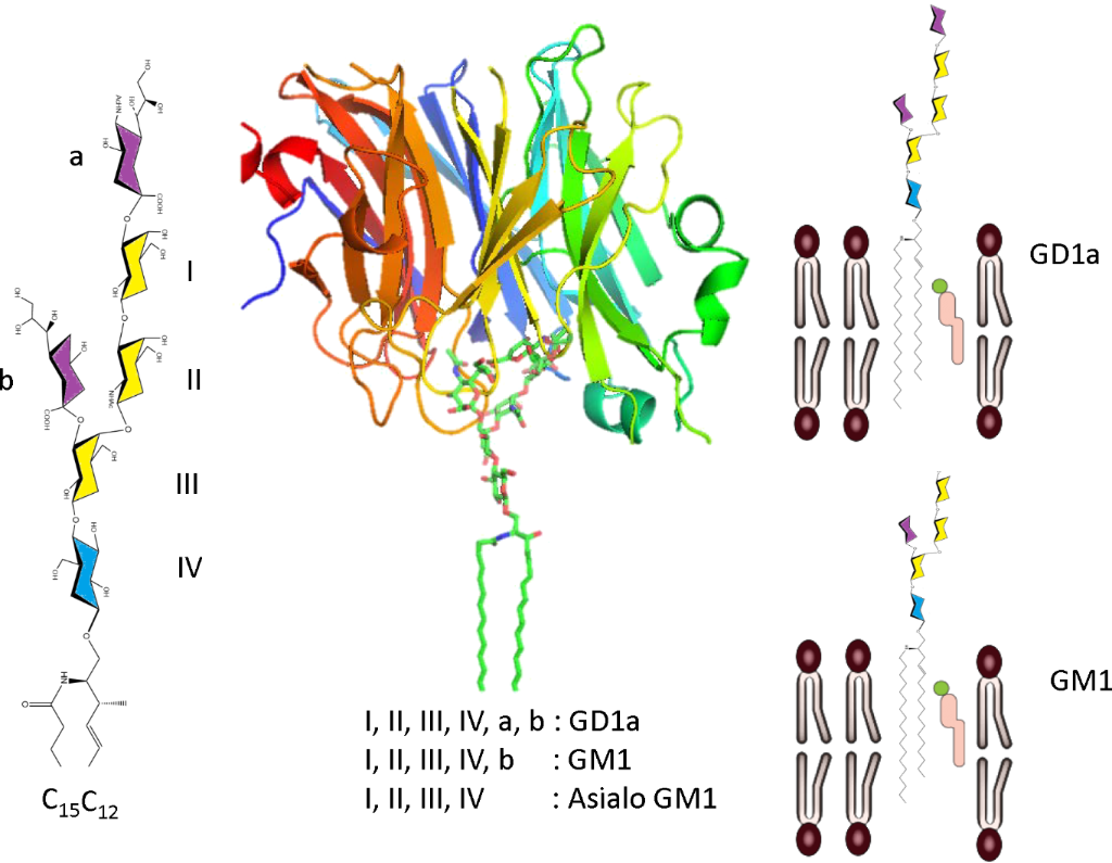 [1860-5397-13-114-16]