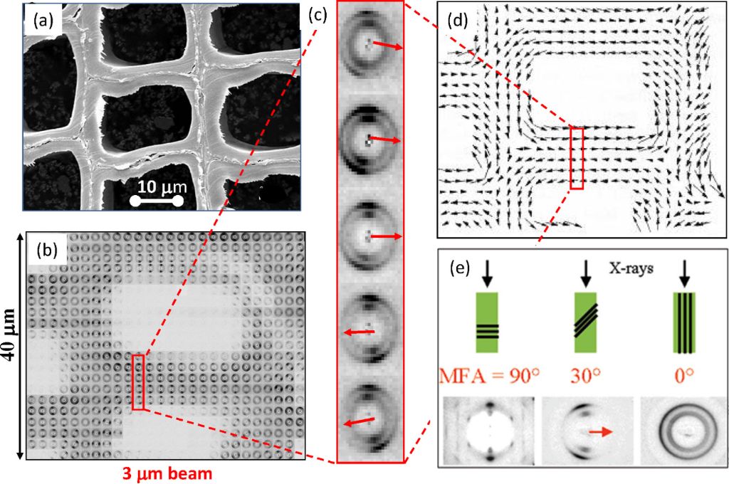 [1860-5397-13-114-19]