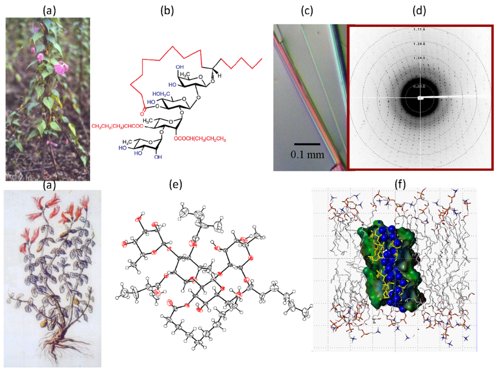 [1860-5397-13-114-4]