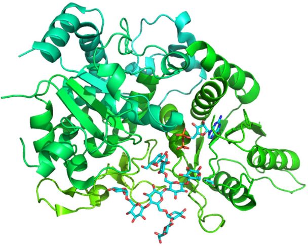 [1860-5397-13-114-9]