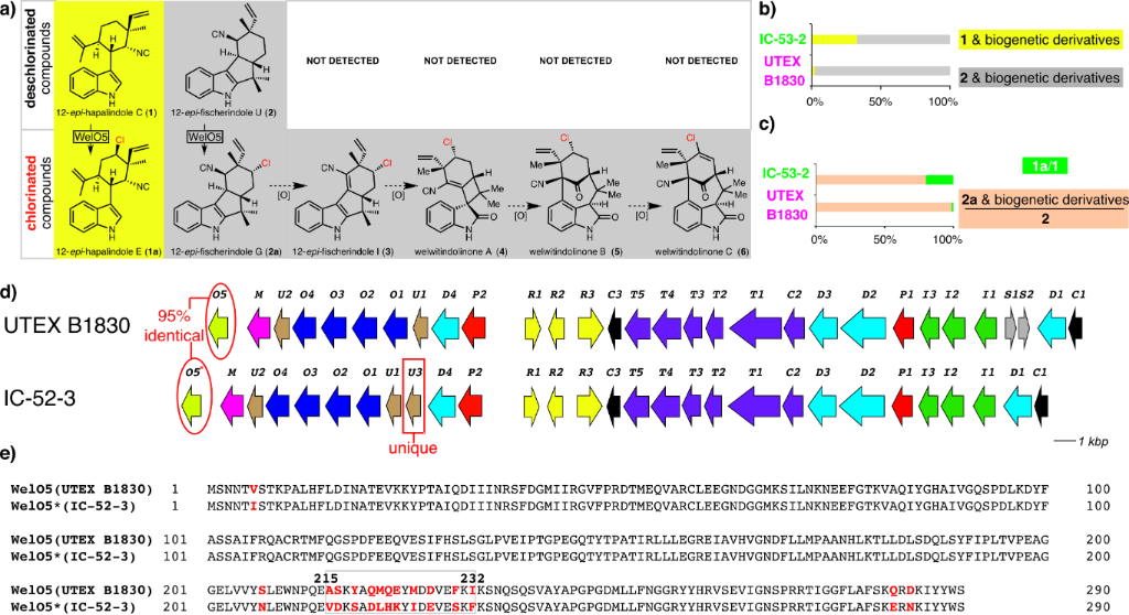 [1860-5397-13-115-1]