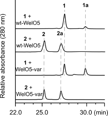 [1860-5397-13-115-3]