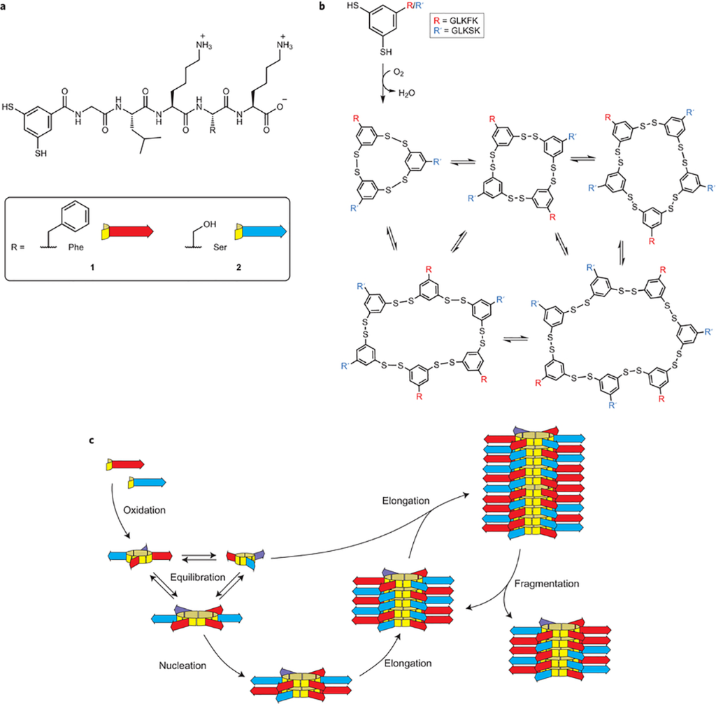 [1860-5397-13-118-12]