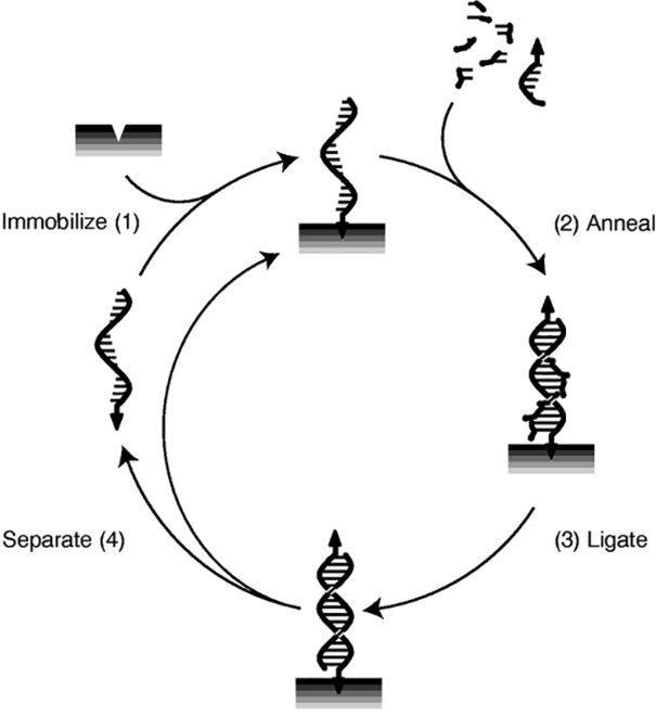 [1860-5397-13-118-5]