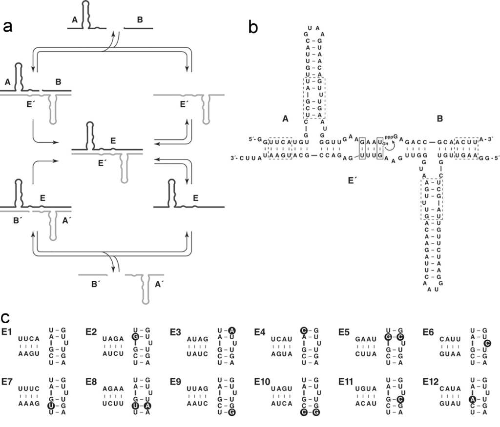 [1860-5397-13-118-8]