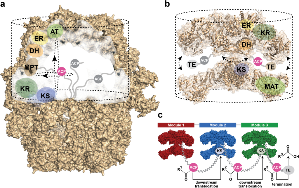 [1860-5397-13-119-2]