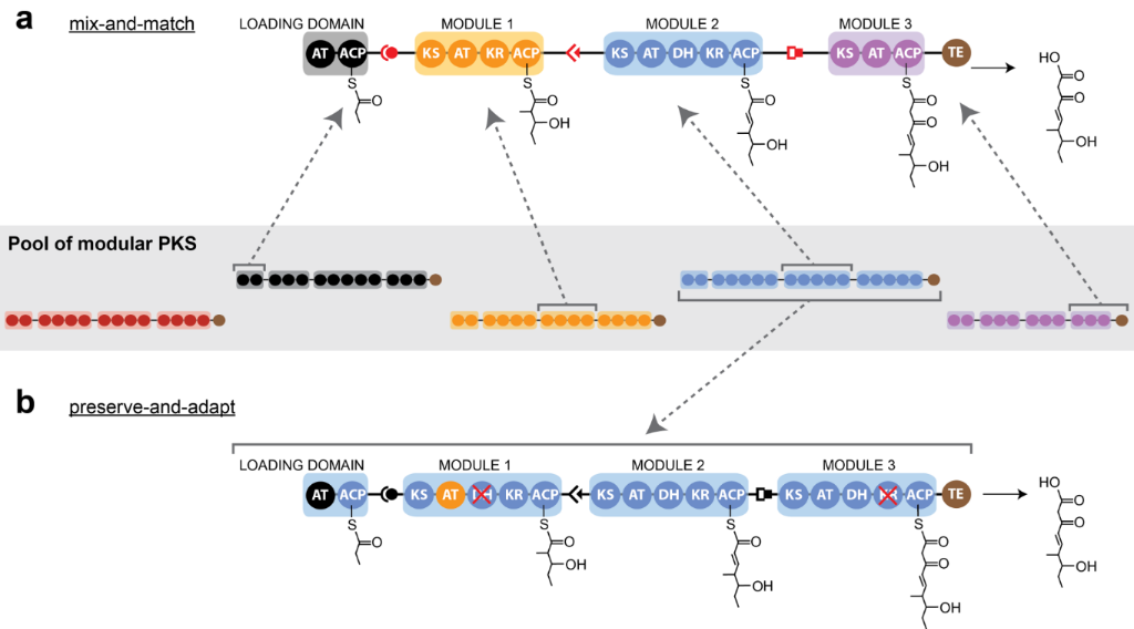 [1860-5397-13-119-3]