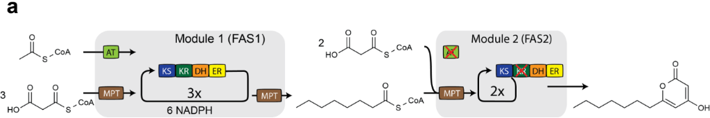 [1860-5397-13-119-4]