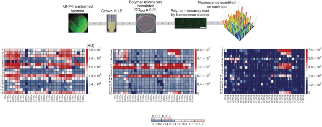 [1860-5397-13-125-13]