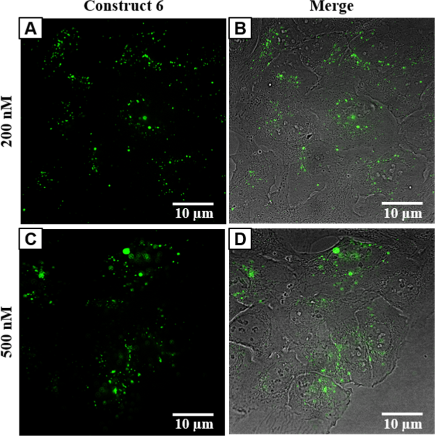 [1860-5397-13-128-5]