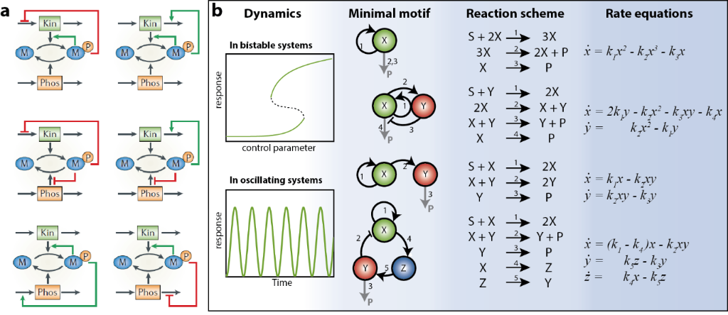 [1860-5397-13-147-1]