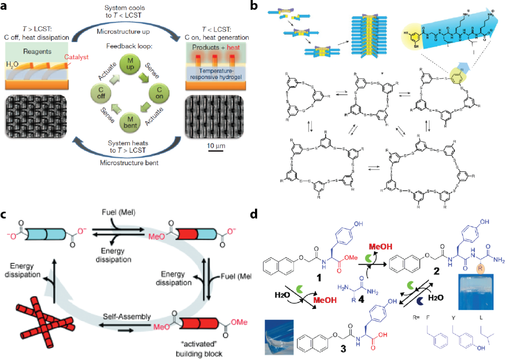 [1860-5397-13-147-3]