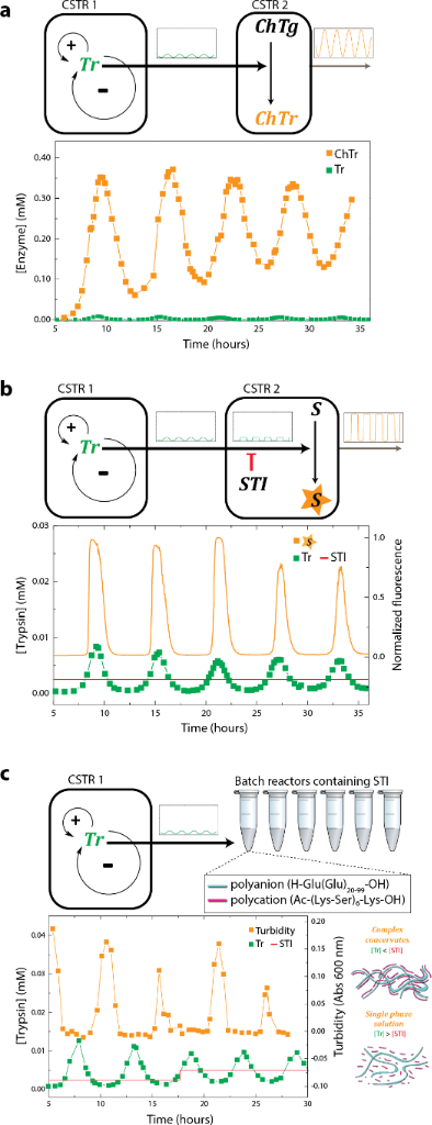 [1860-5397-13-147-6]