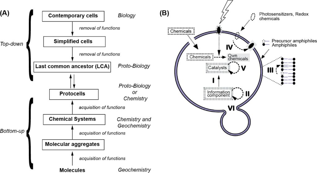 [1860-5397-13-155-1]