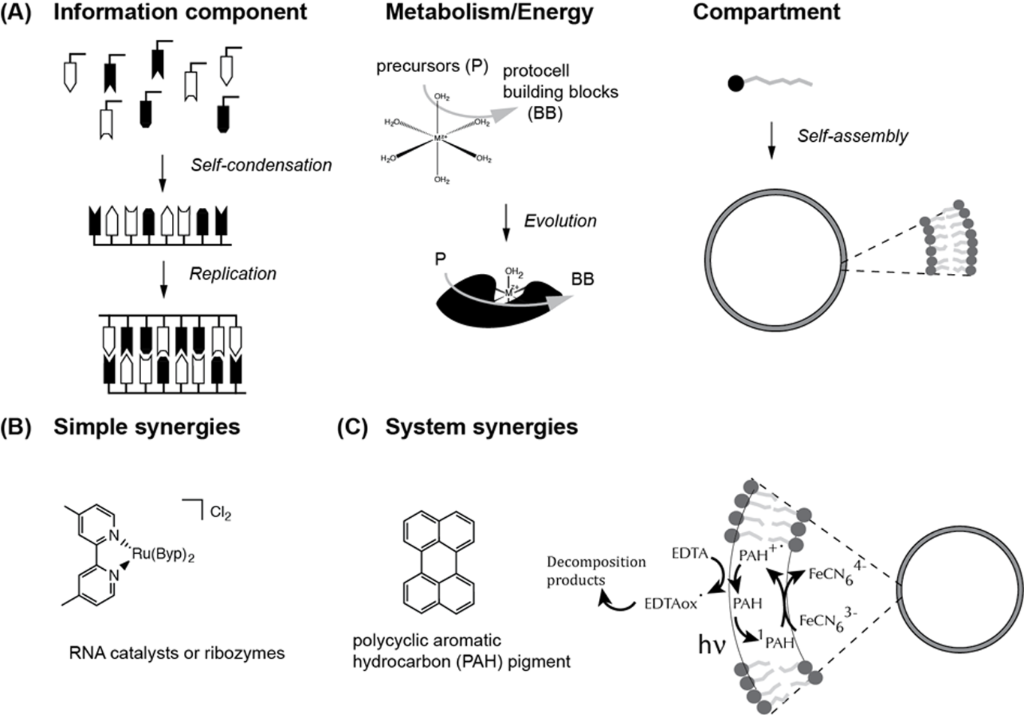 [1860-5397-13-155-2]