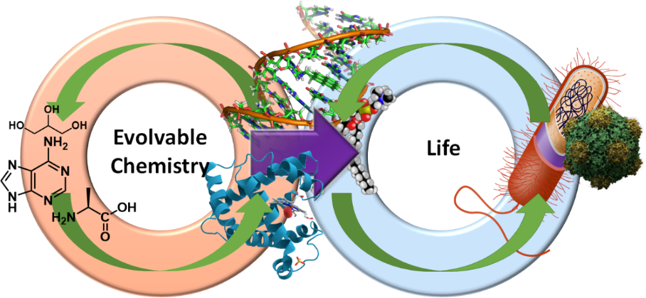 [1860-5397-13-164-1]