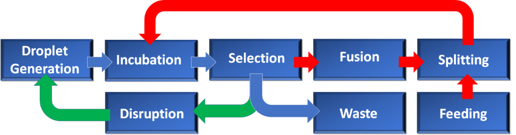 [1860-5397-13-164-6]