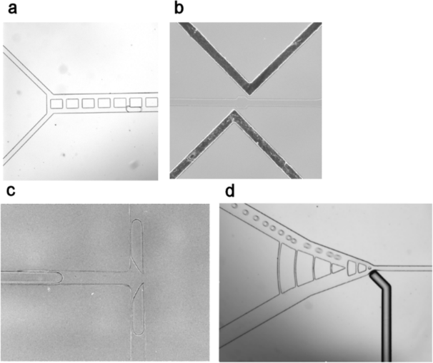 [1860-5397-13-164-8]