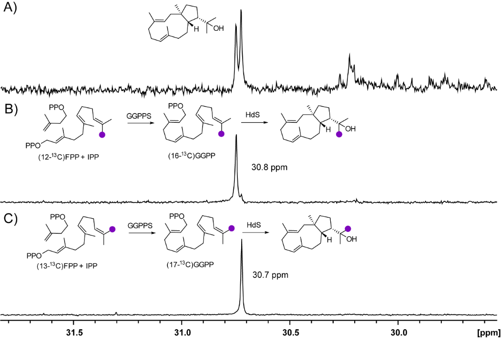 [1860-5397-13-171-5]