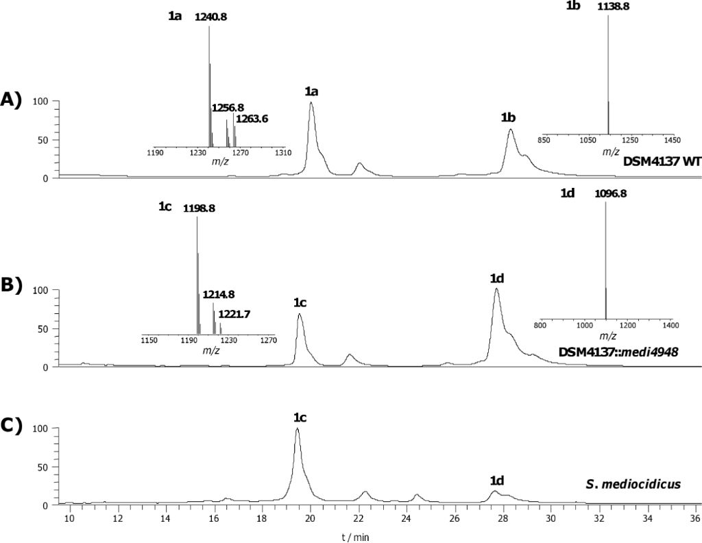 [1860-5397-13-238-1]