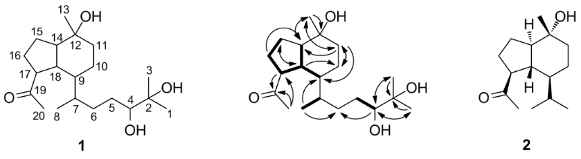 [1860-5397-13-242-3]