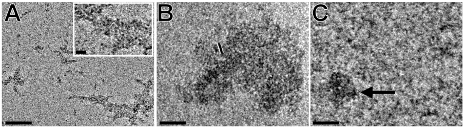 [1860-5397-13-248-5]