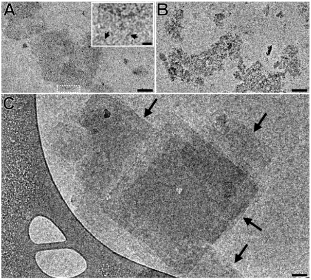 [1860-5397-13-248-6]