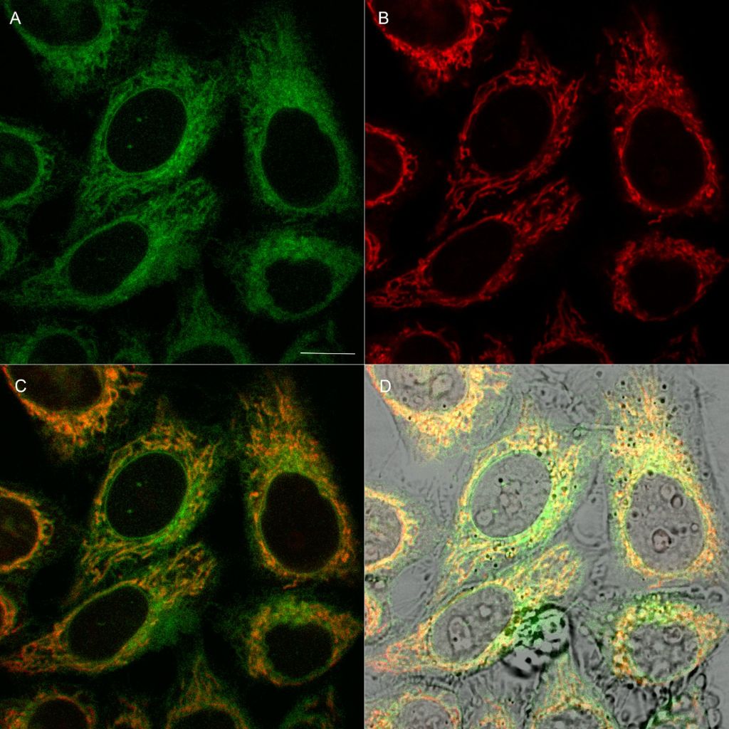 [1860-5397-13-249-6]