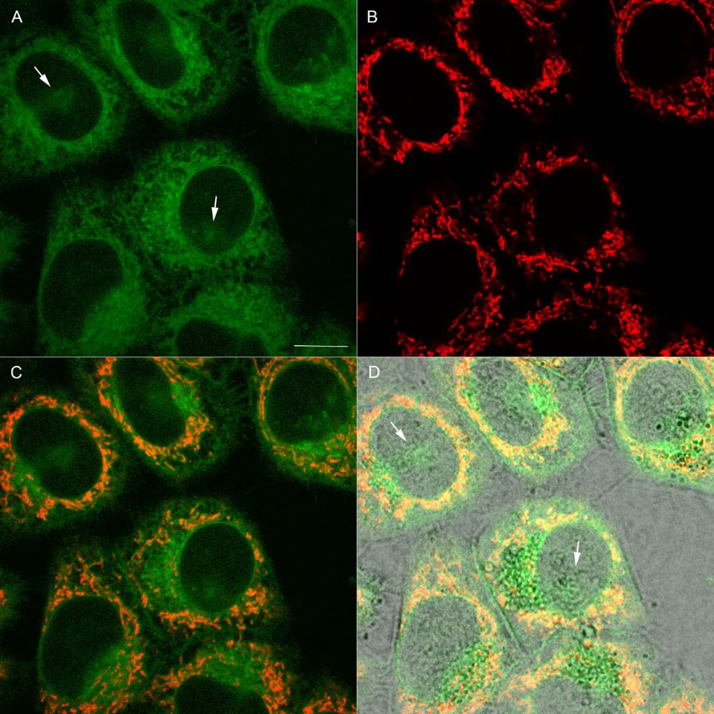 [1860-5397-13-249-7]