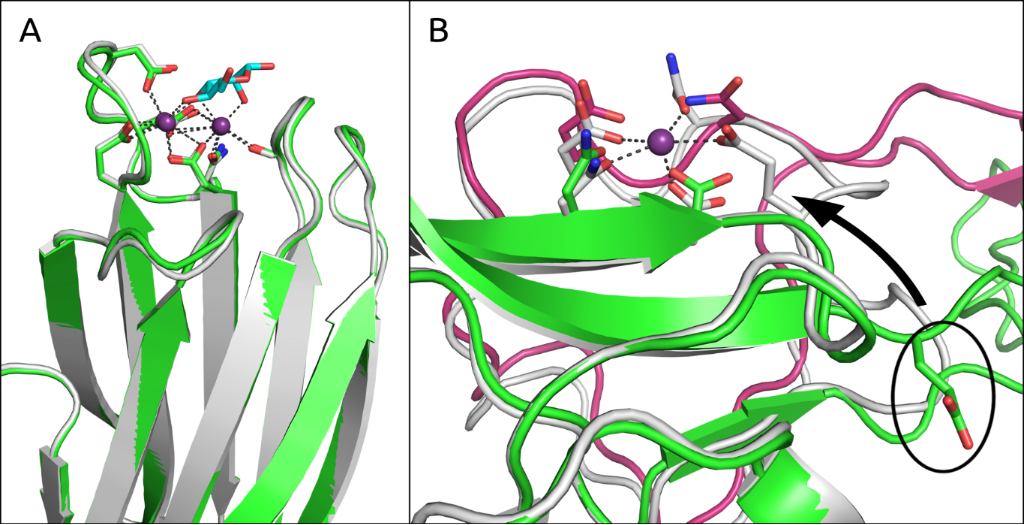 [1860-5397-13-255-8]