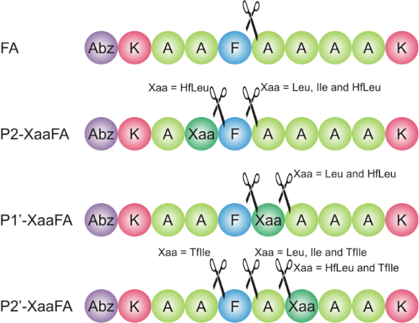 [1860-5397-13-279-5]