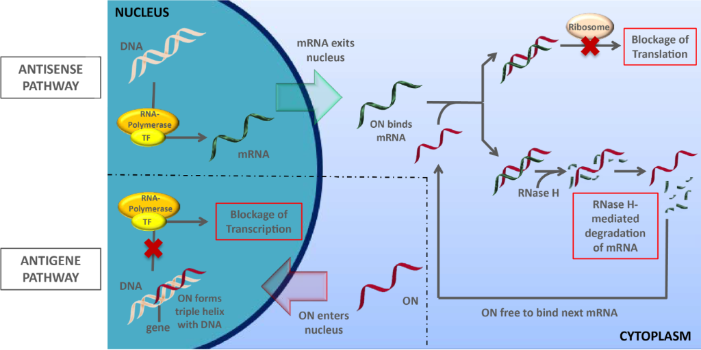 [1860-5397-14-111-1]