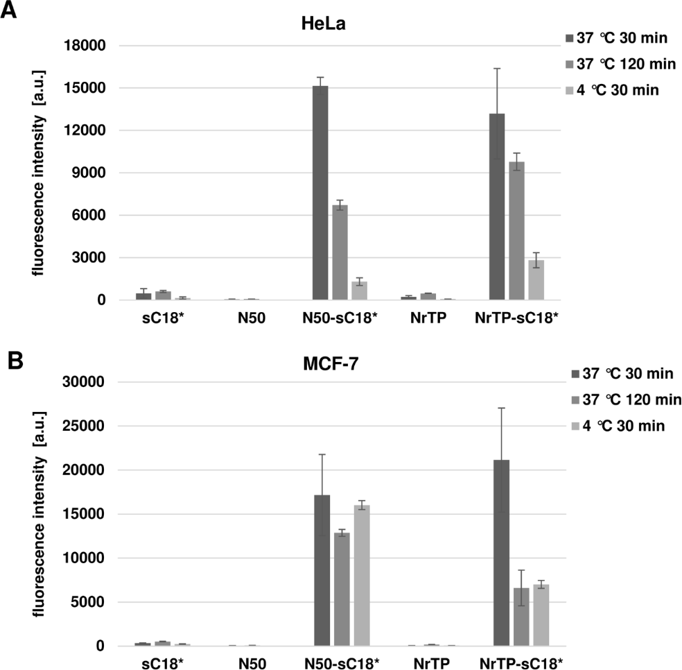 [1860-5397-14-116-4]