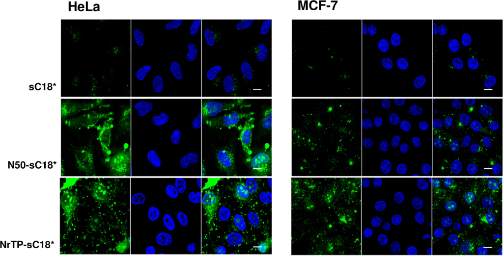 [1860-5397-14-116-5]