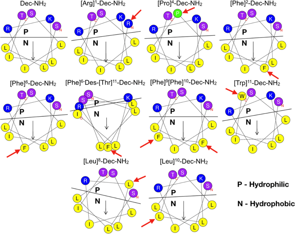 [1860-5397-14-144-1]