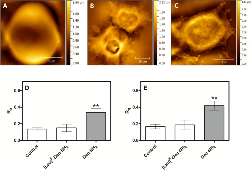 [1860-5397-14-144-5]