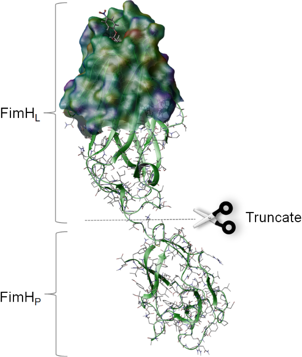 [1860-5397-14-163-2]