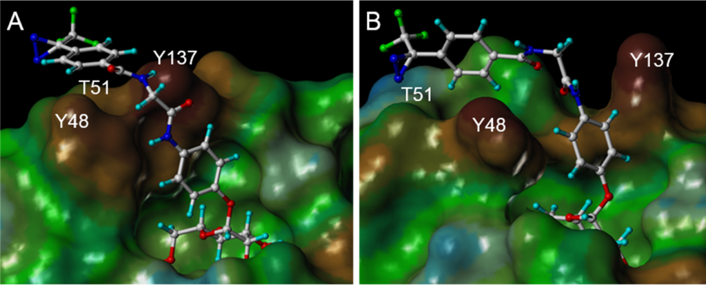 [1860-5397-14-163-4]