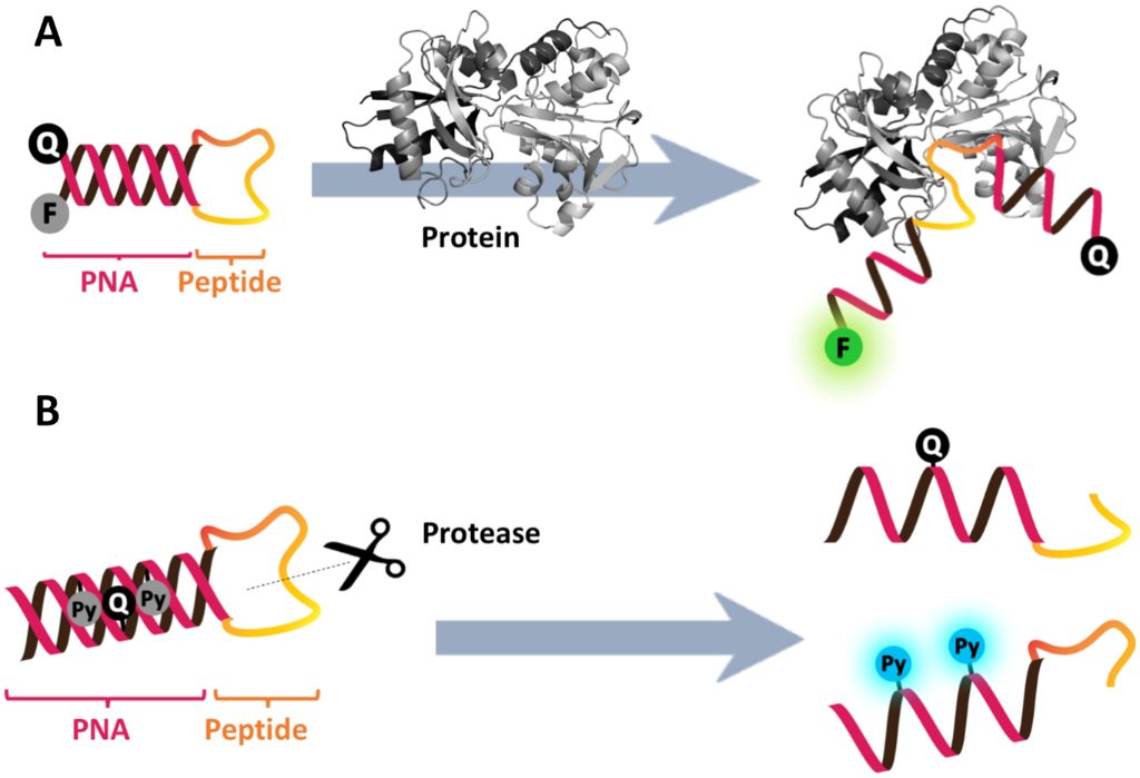 [1860-5397-14-17-10]