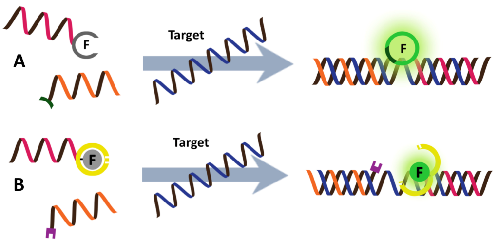 [1860-5397-14-17-12]