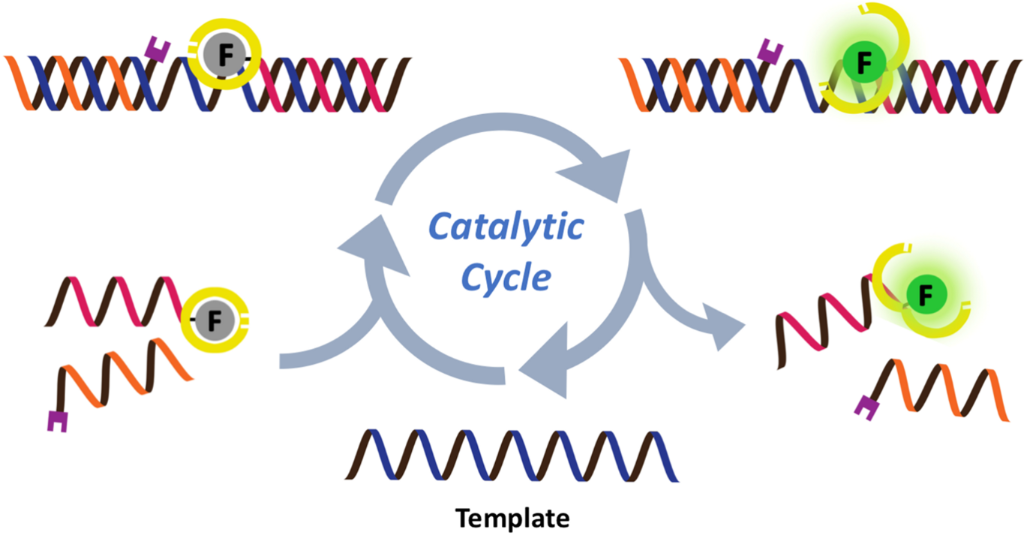 [1860-5397-14-17-13]