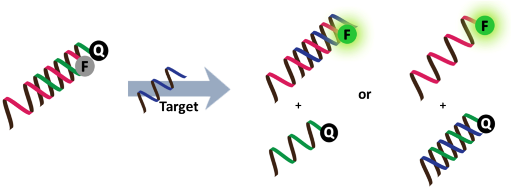 [1860-5397-14-17-14]