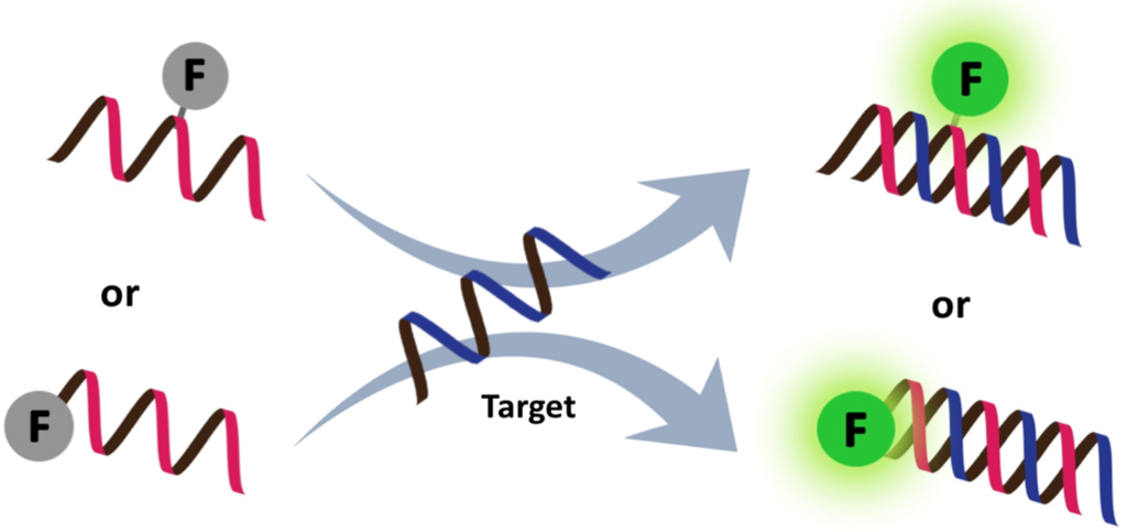 [1860-5397-14-17-17]