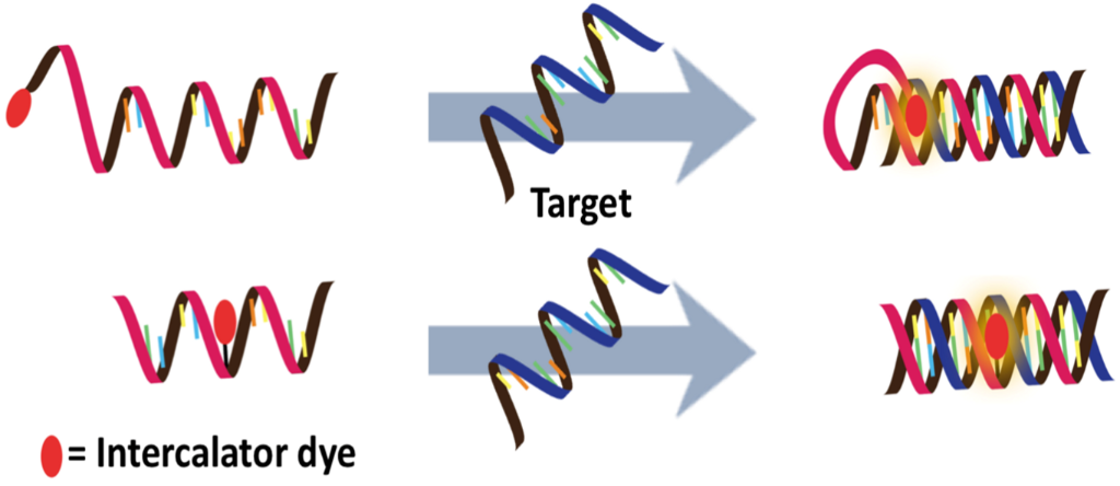 [1860-5397-14-17-21]